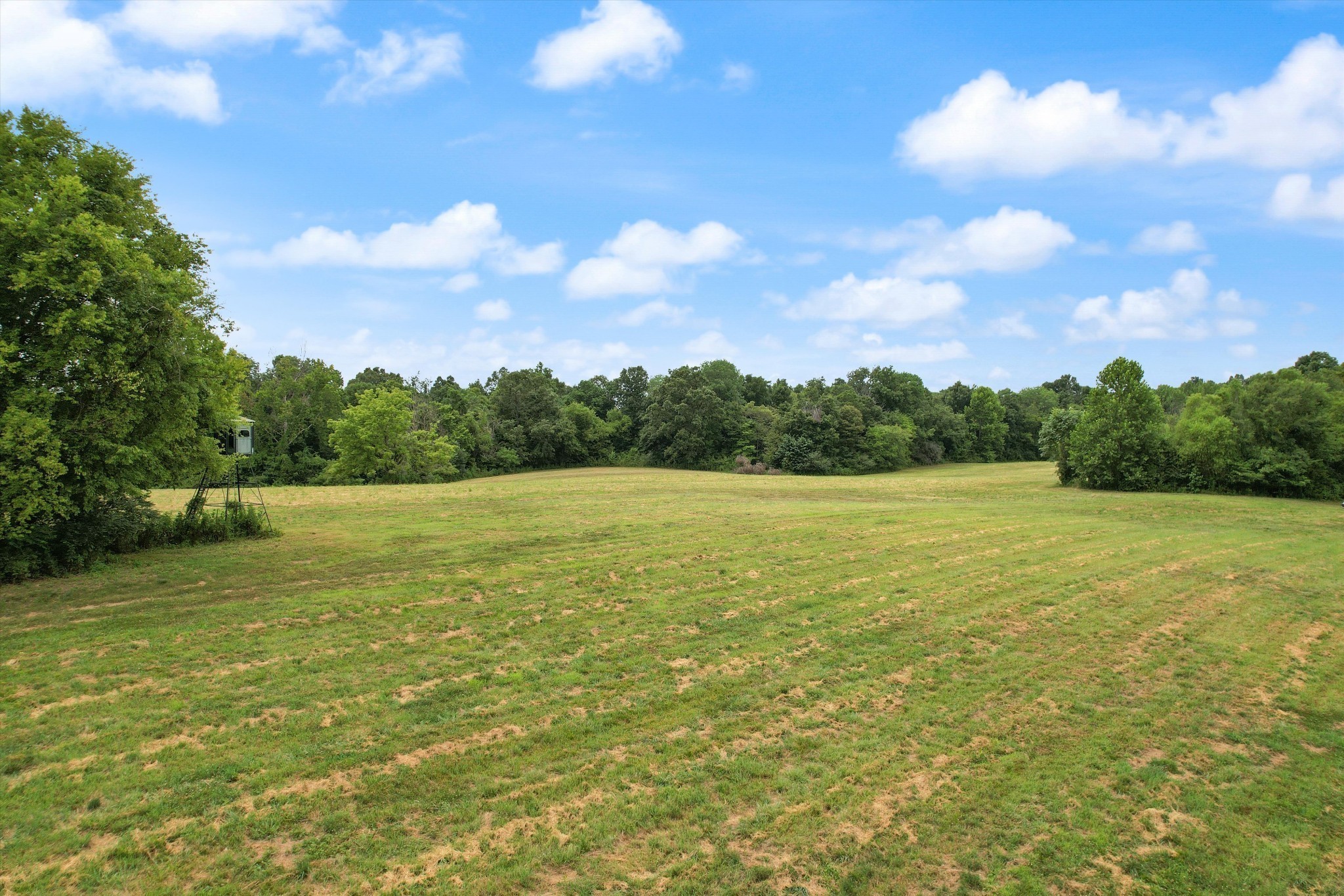 1904 Millers Chapel Rd