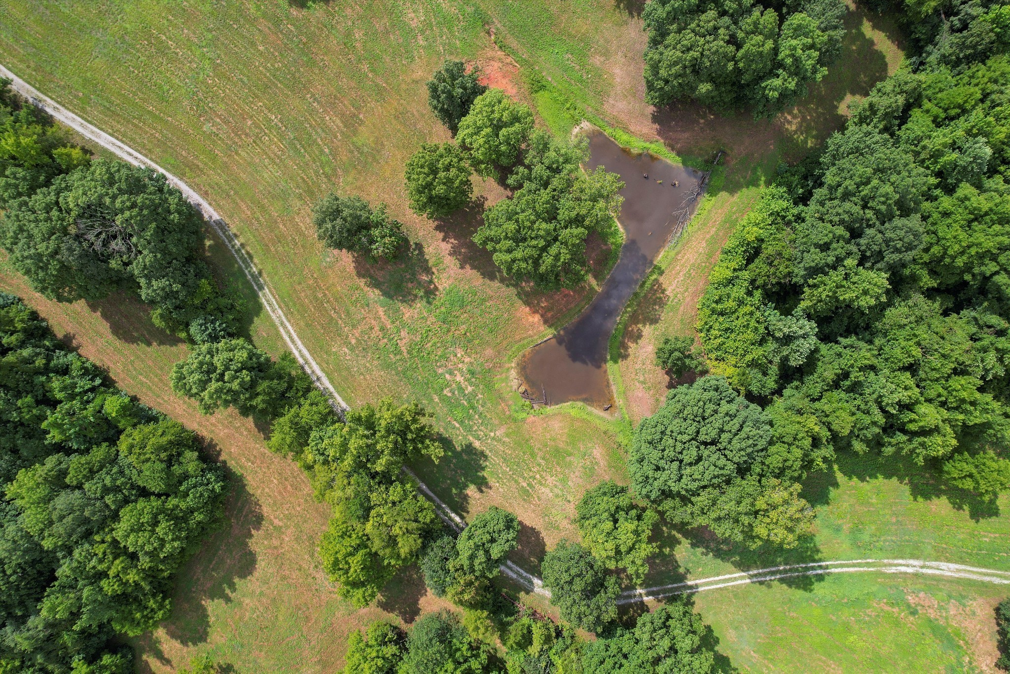 1904 Millers Chapel Rd