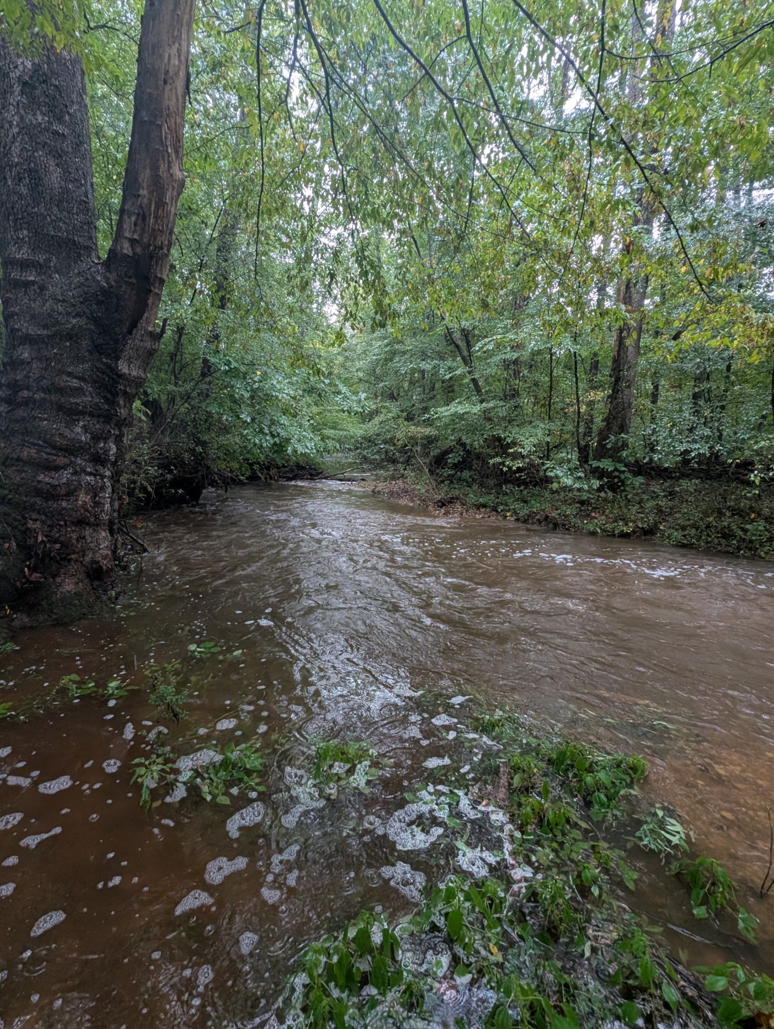 441 Matts Hollow Rd