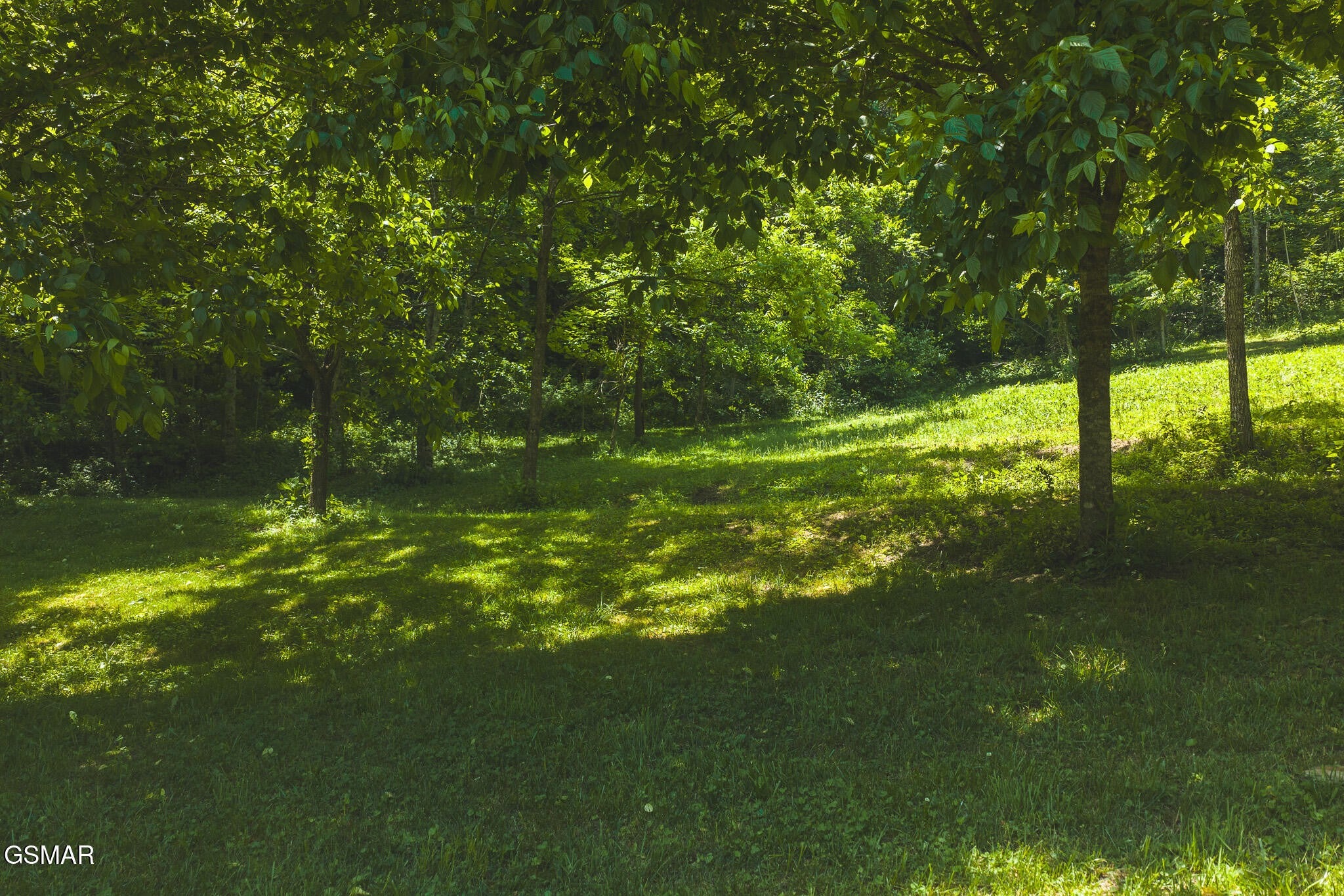 622 Earls Hollow Road