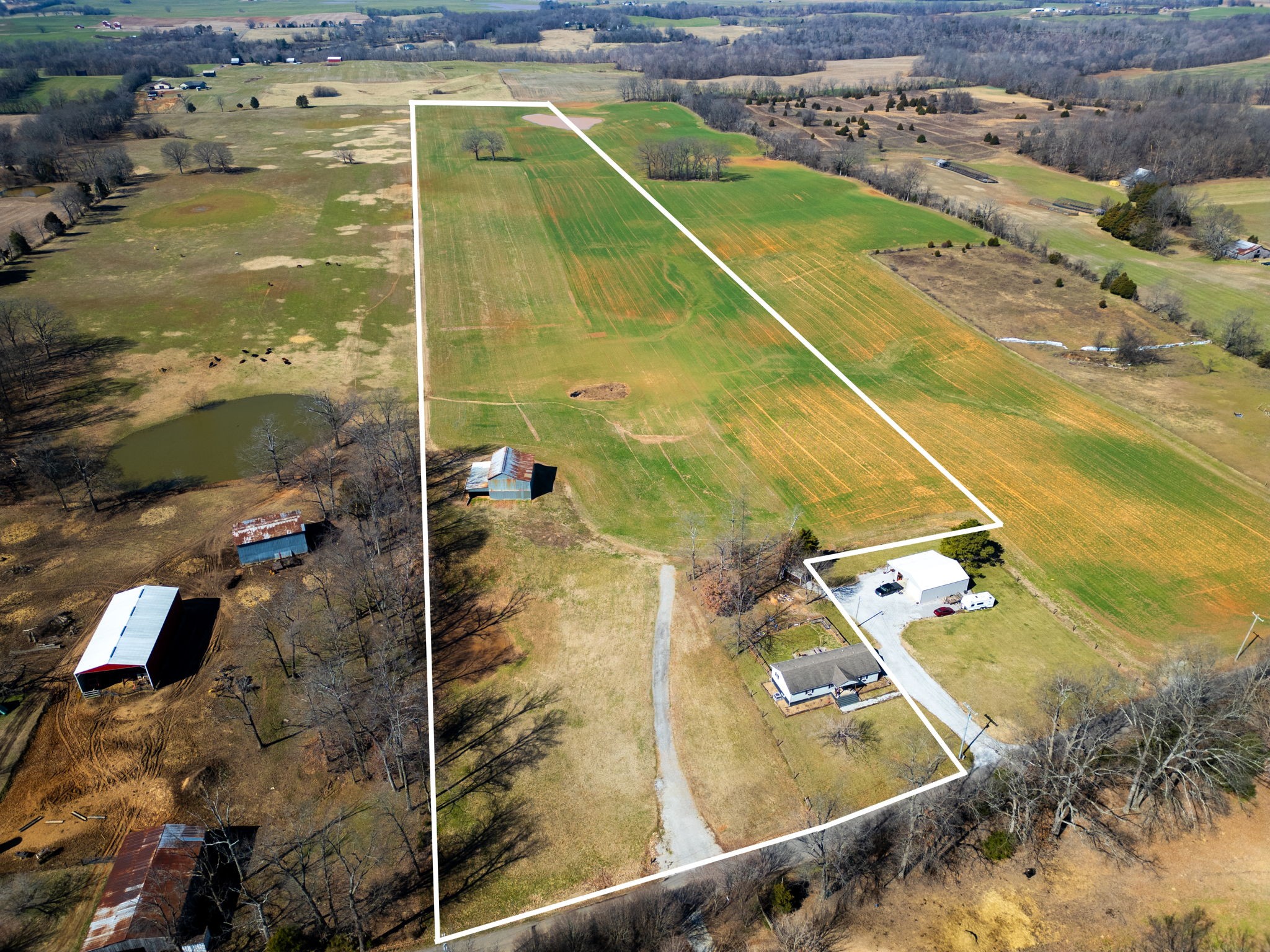 Listing image 4
