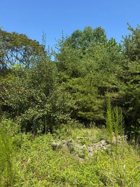 704 Windstone Drive