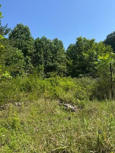 704 Windstone Drive