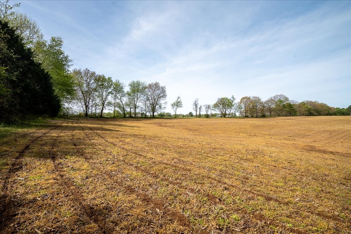 Leoma, Tennessee, 38468, United States, 3 Bedrooms Bedrooms, ,3 BathroomsBathrooms,Residential,Active,2034273