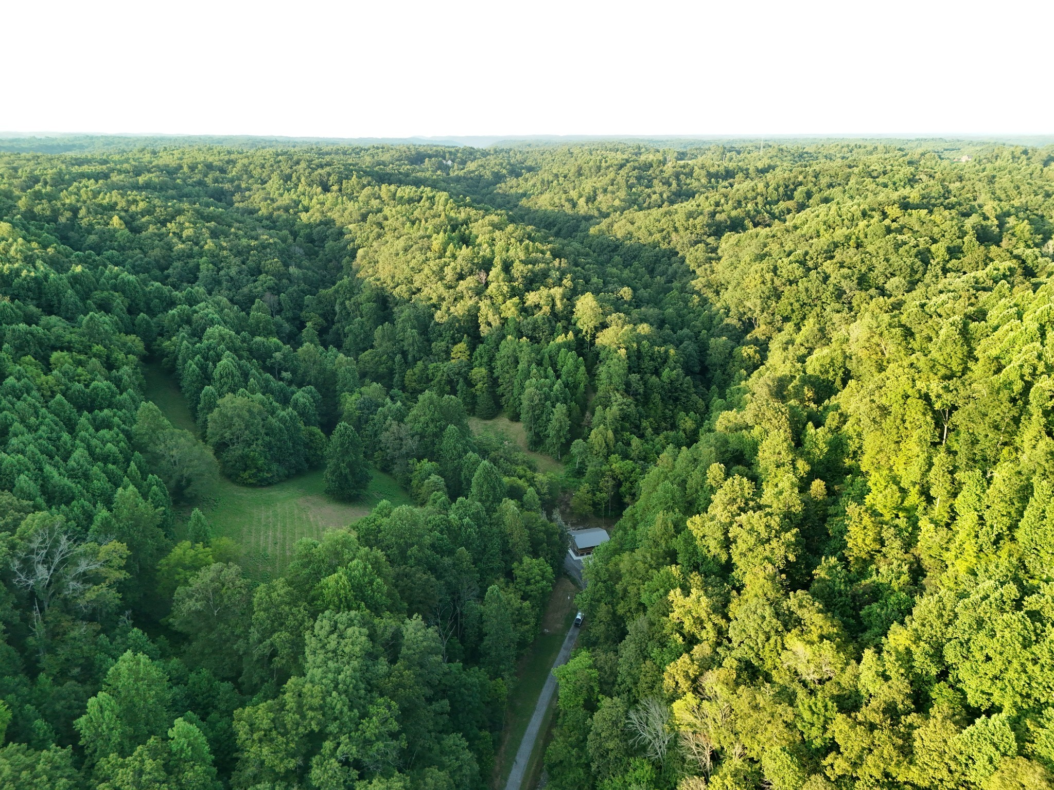 778 Jones Hollow Road