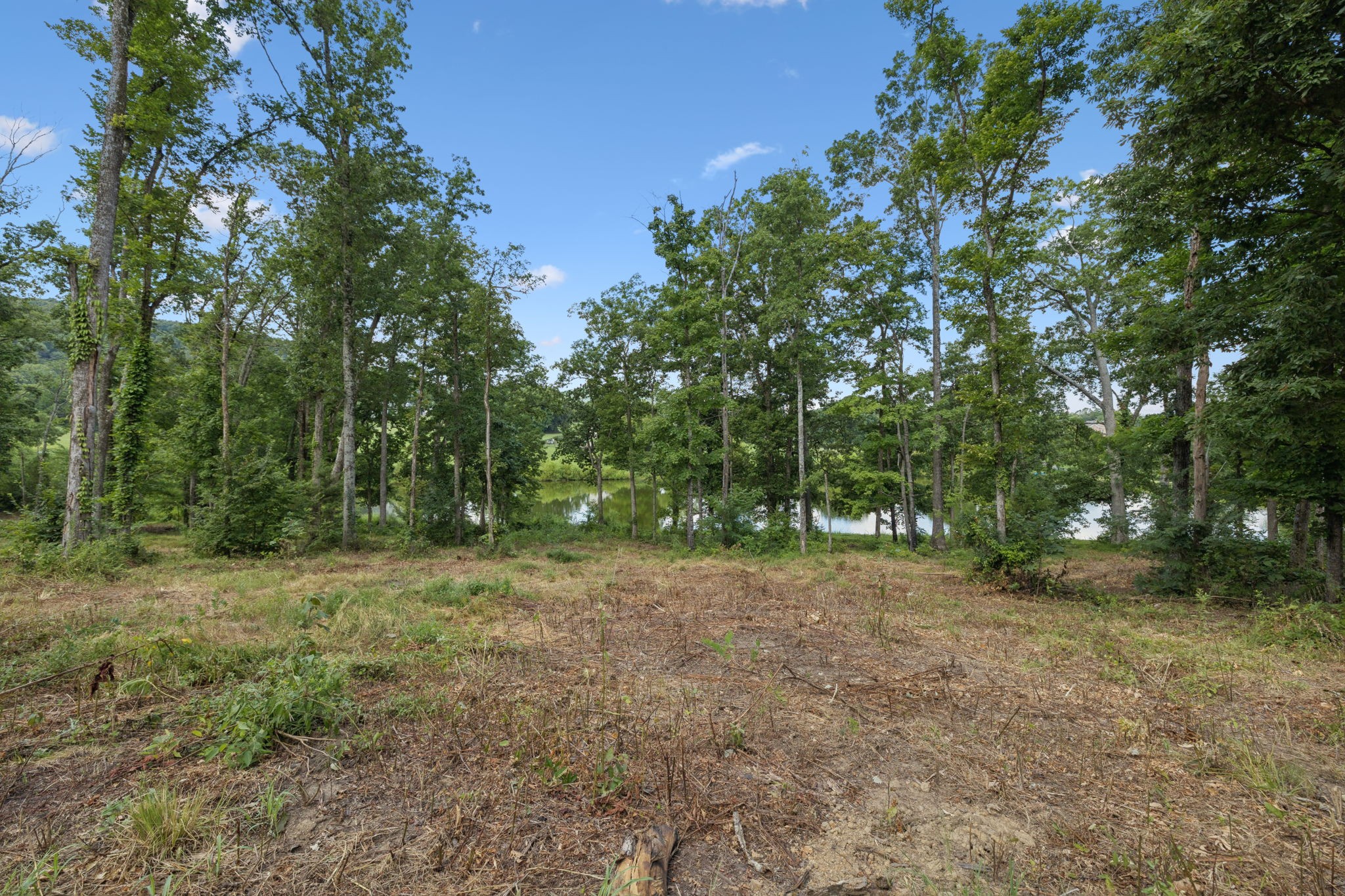 1411 Bell Meadow Ct