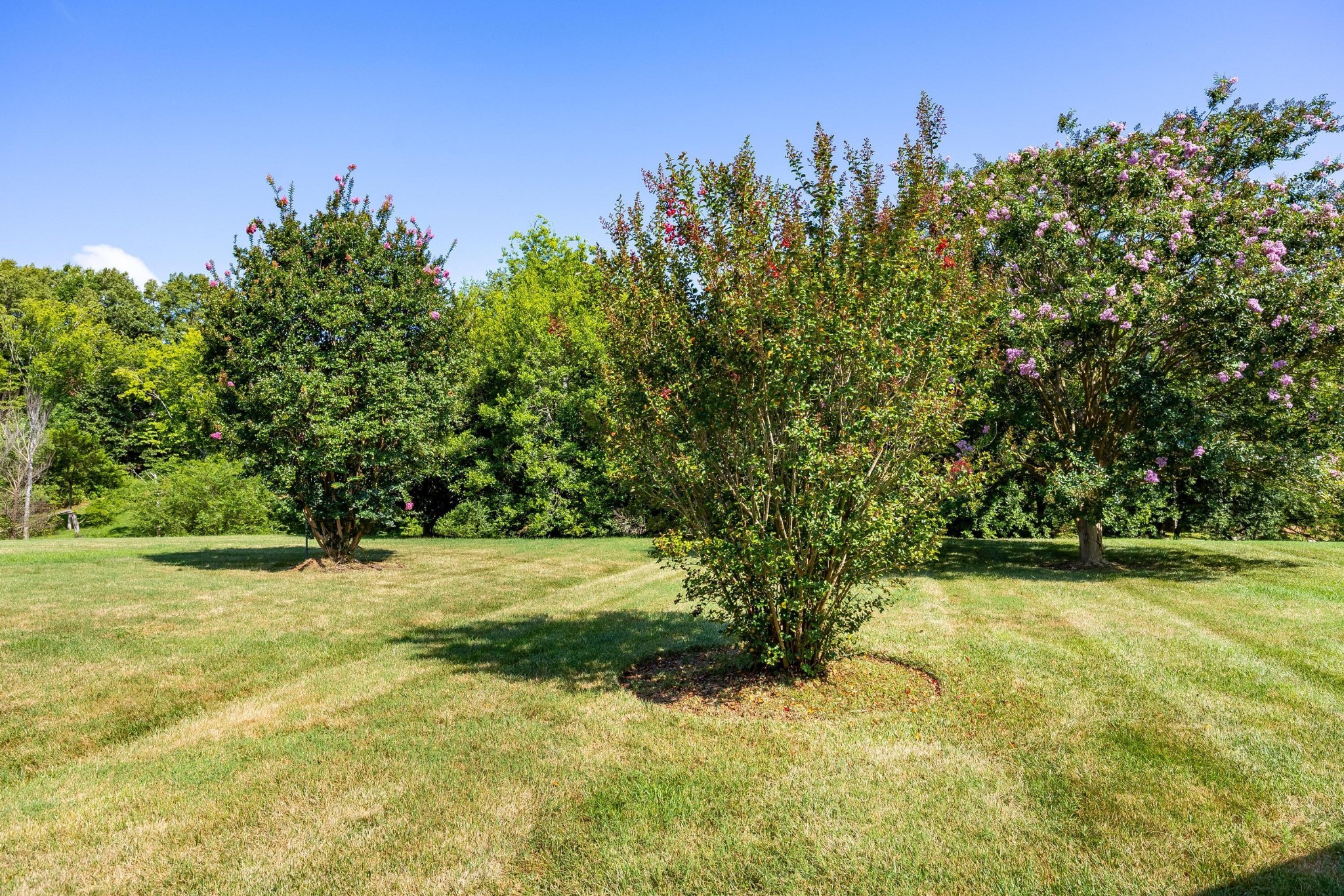 4523 Forsythia Way