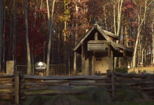 8216 Mountain Laurel Trail