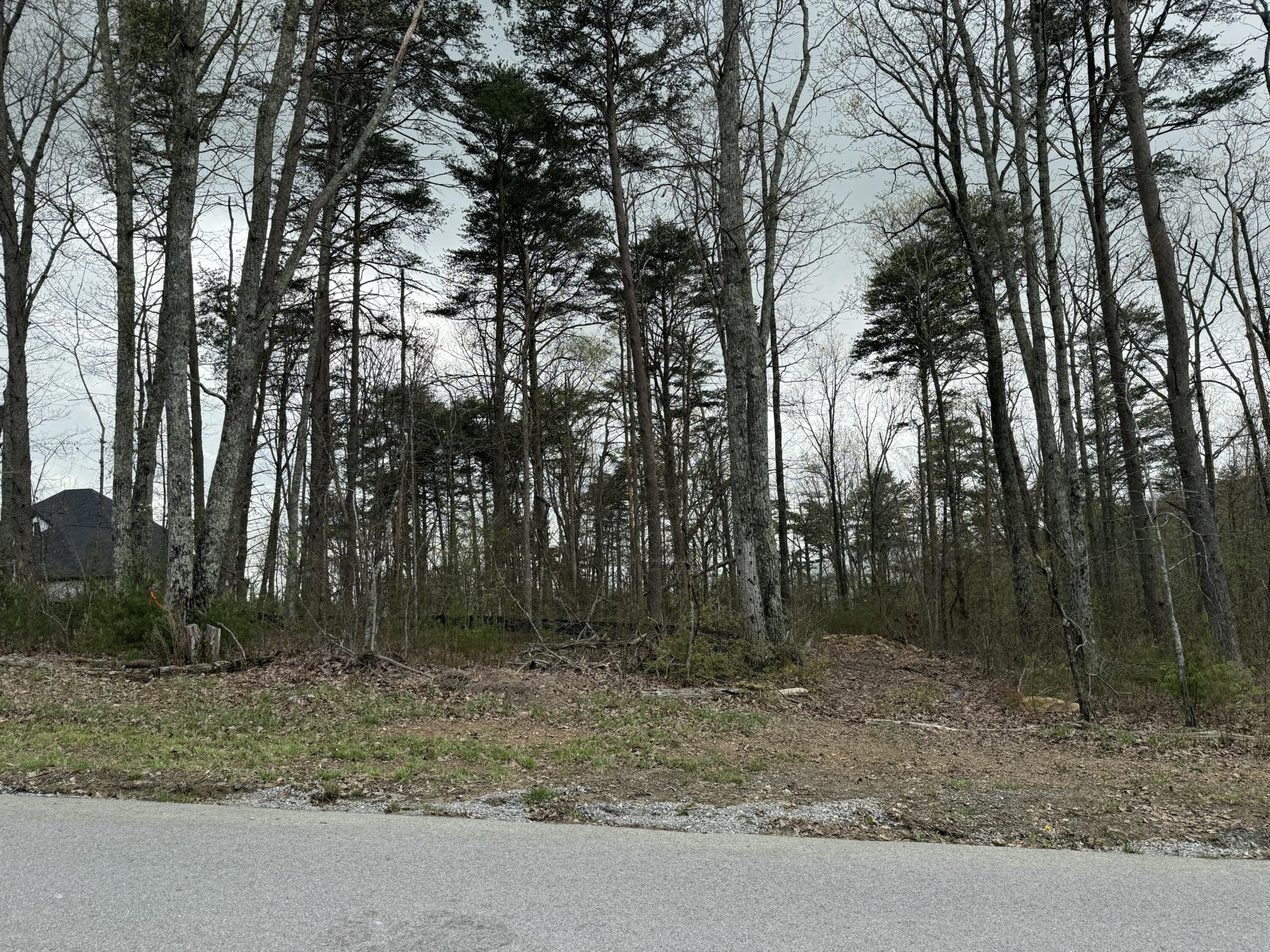 8216 Mountain Laurel Trail