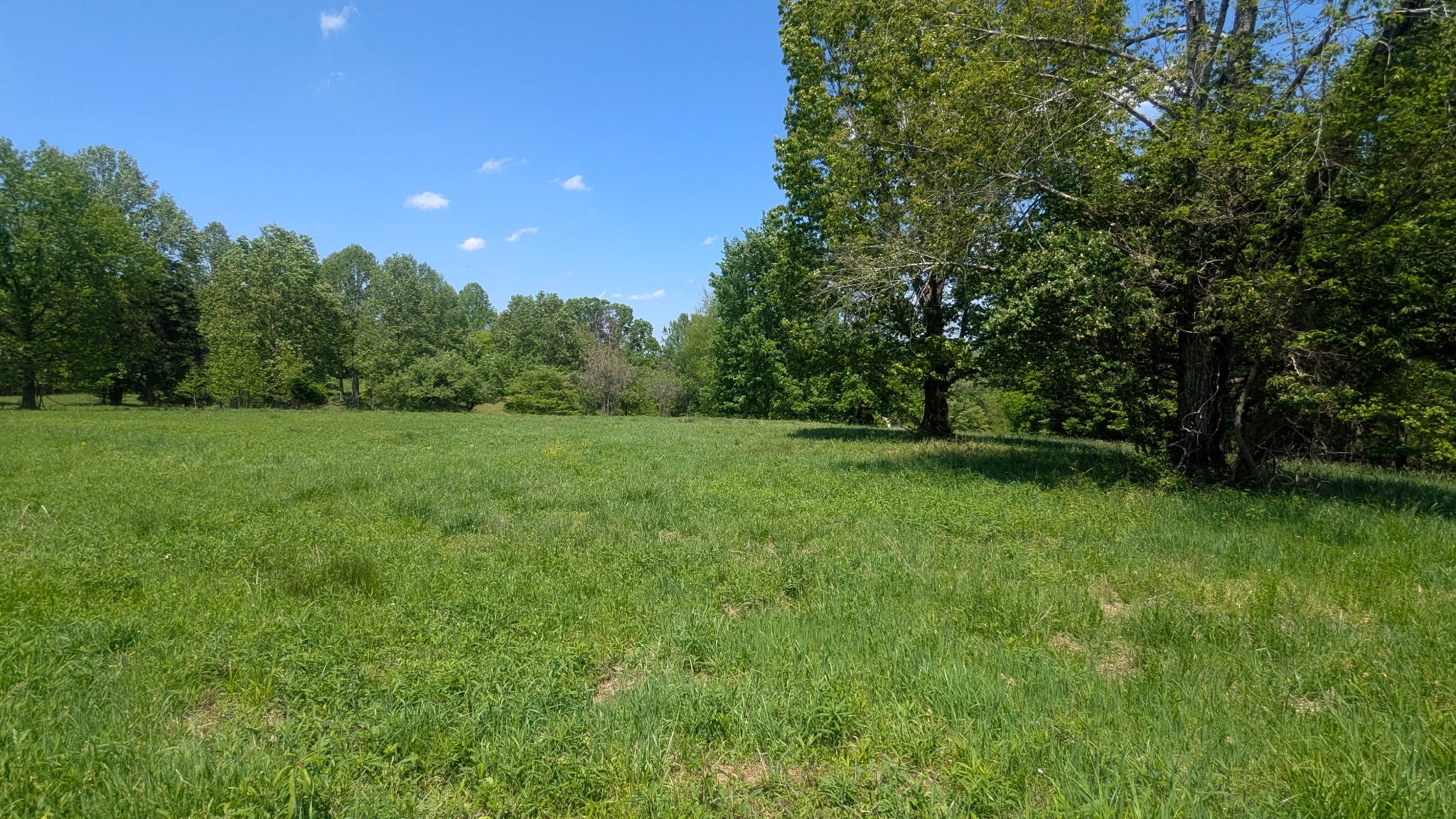 337 Old Dobbins Pike #3