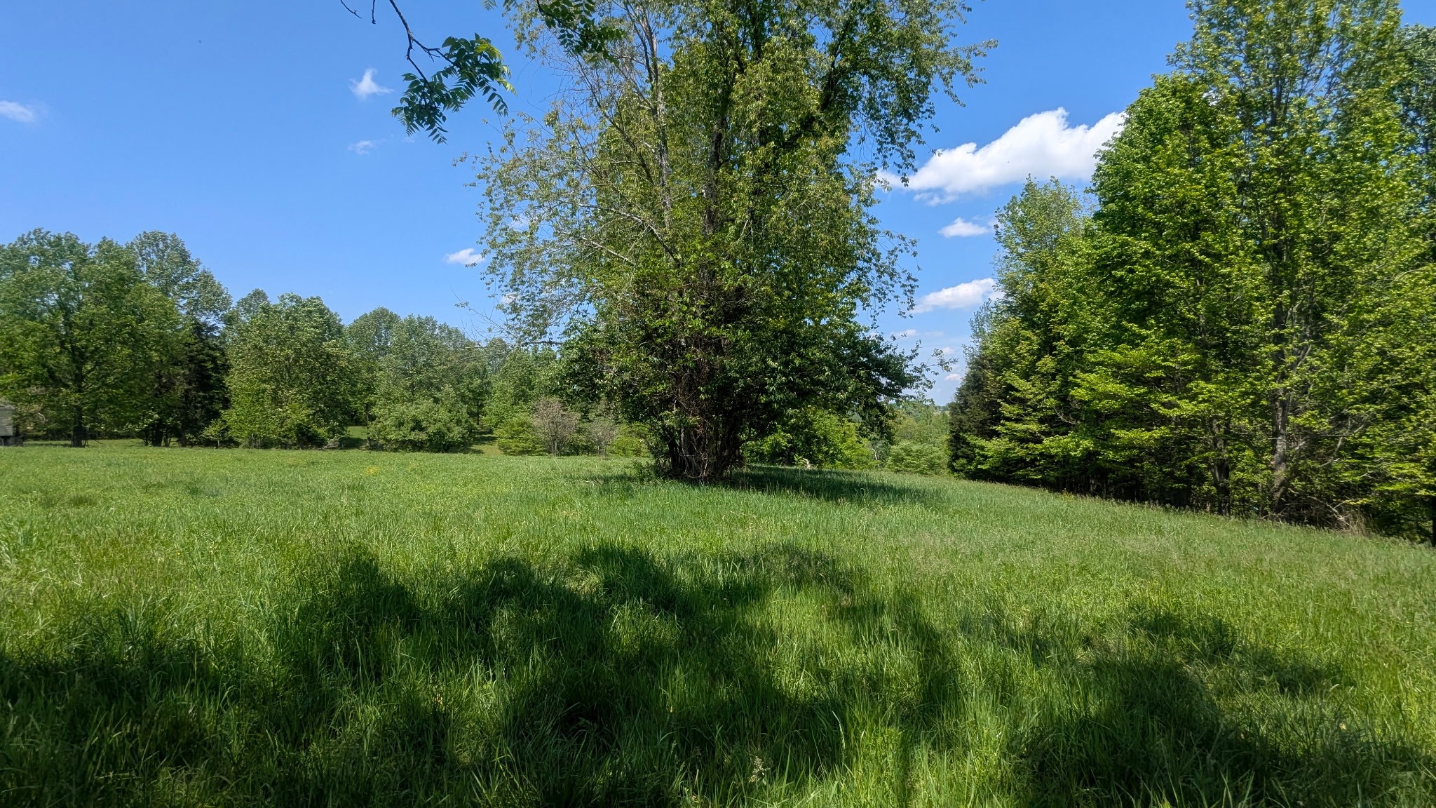 337 Old Dobbins Pike #3