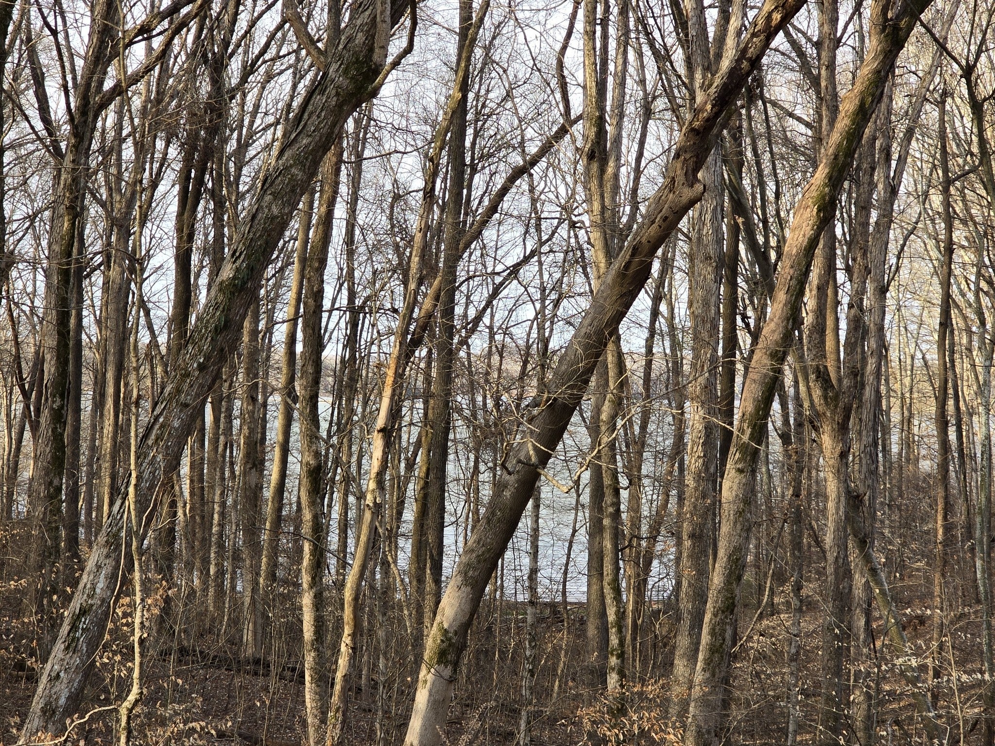 33 Rockcastle Shores