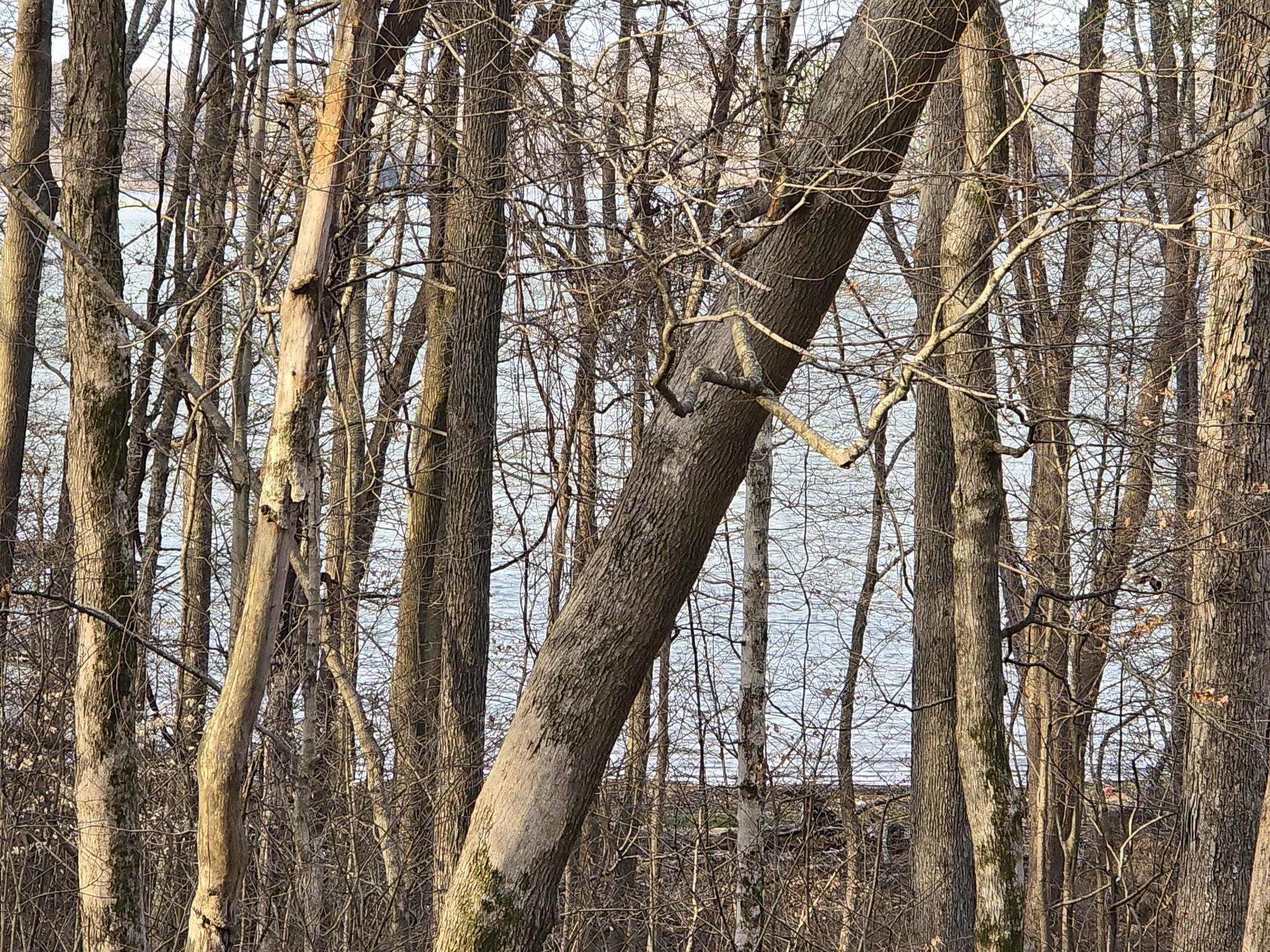 33 Rockcastle Shores