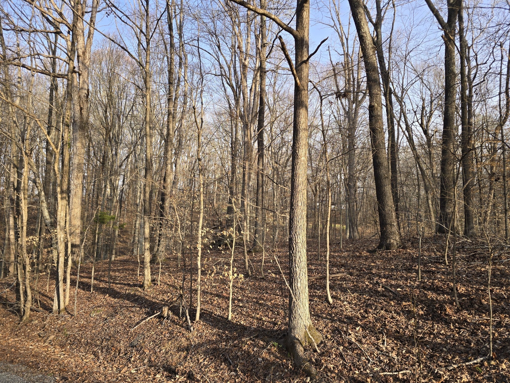33 Rockcastle Shores