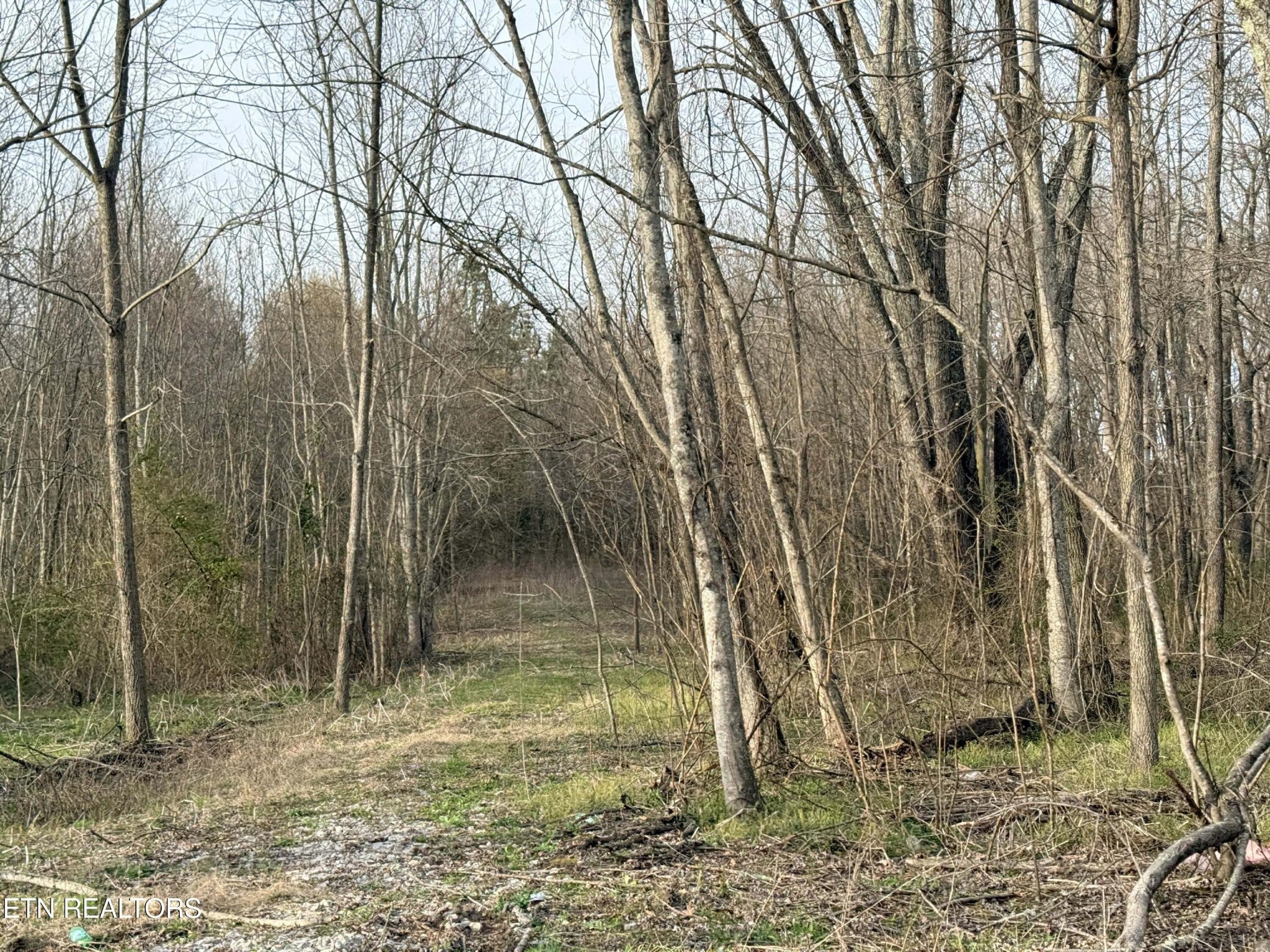 1115 Frank Campbell Rd