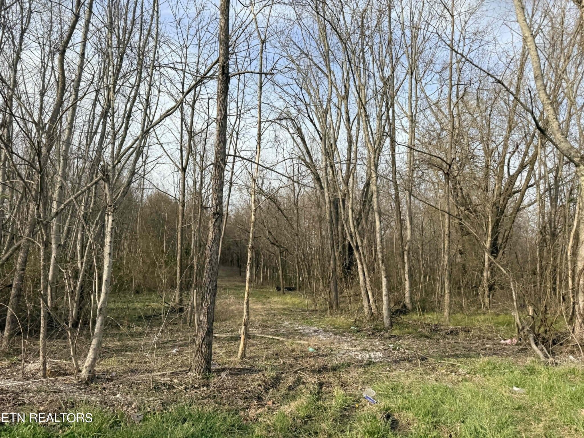 1115 Frank Campbell Rd