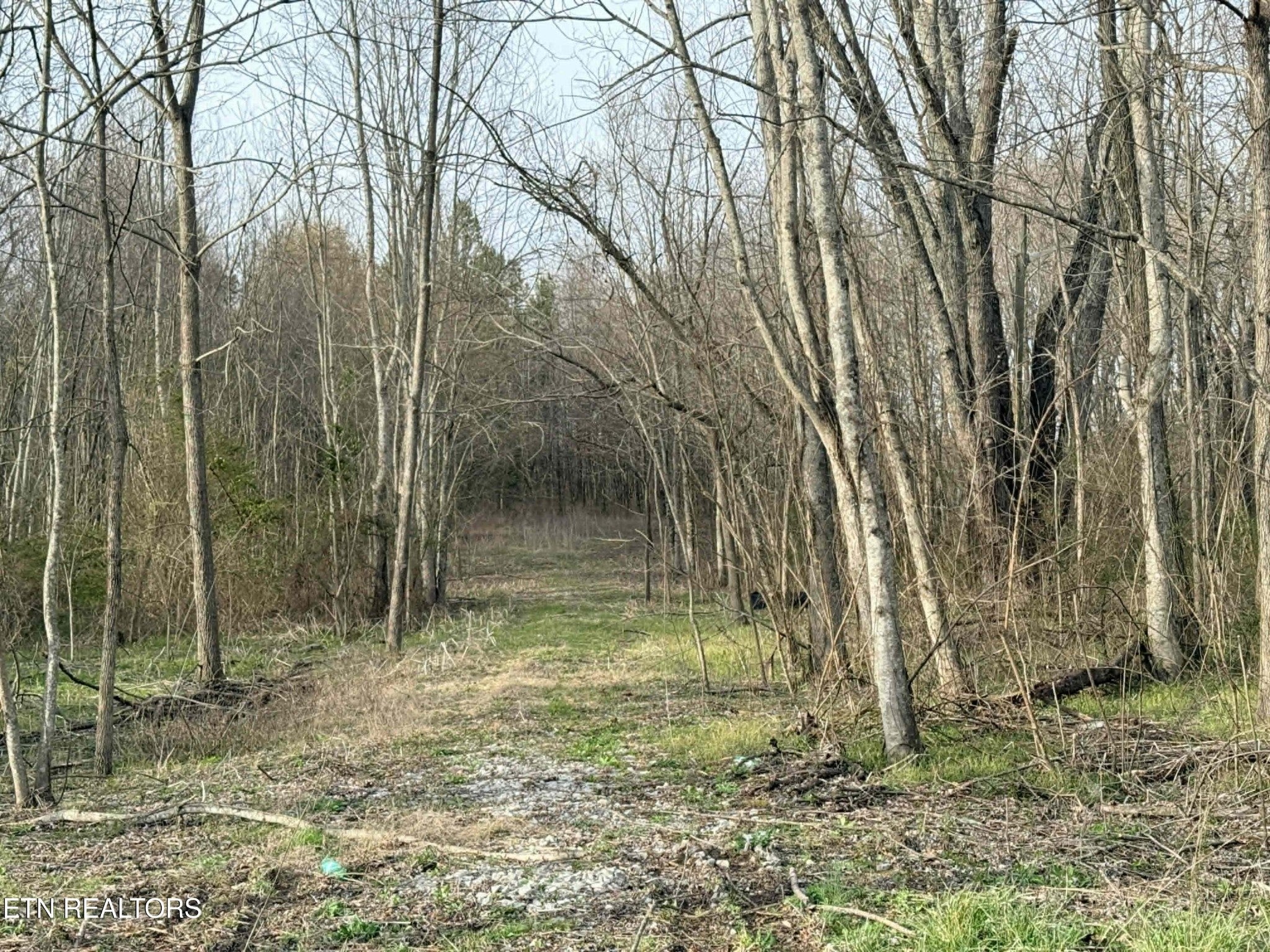 1115 Frank Campbell Rd