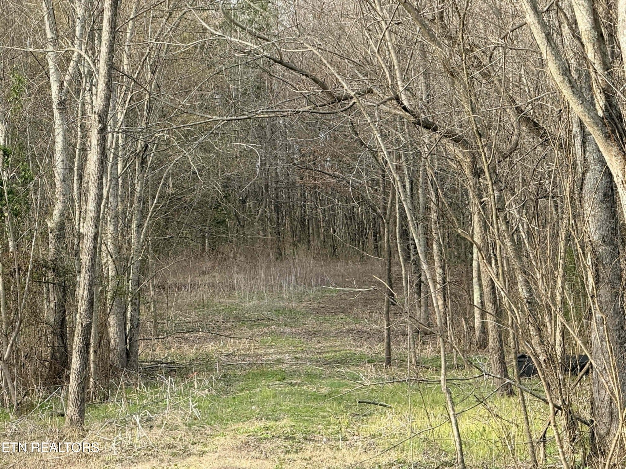 1115 Frank Campbell Rd