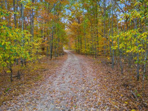 0 Wallace Road Fairview TN 37062