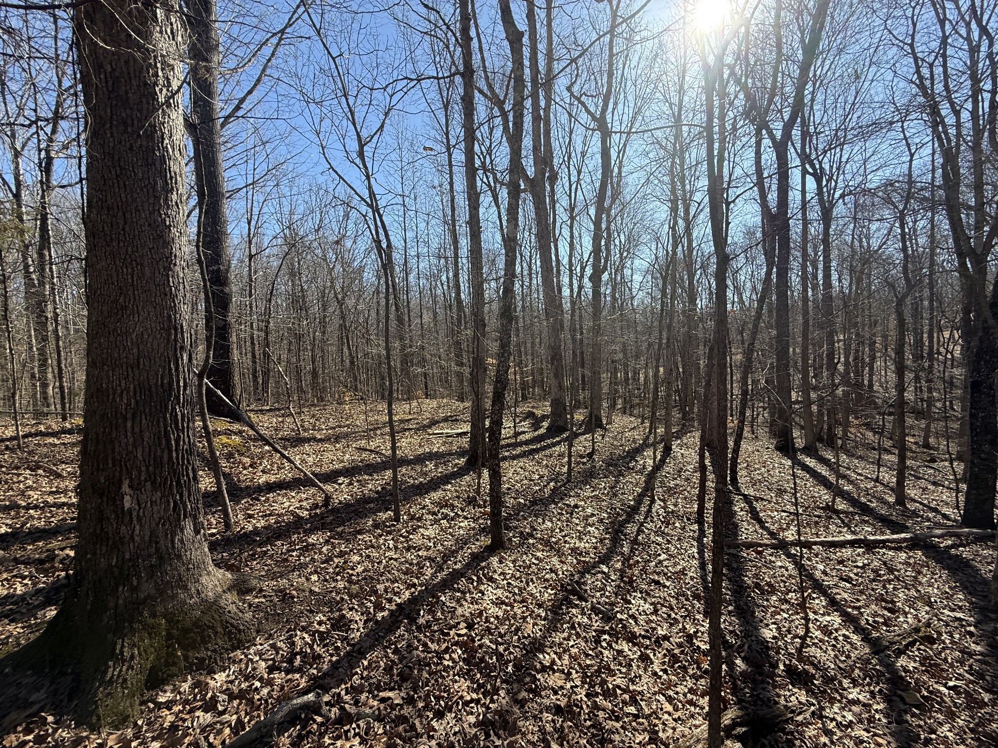 26 Backwoods Estates