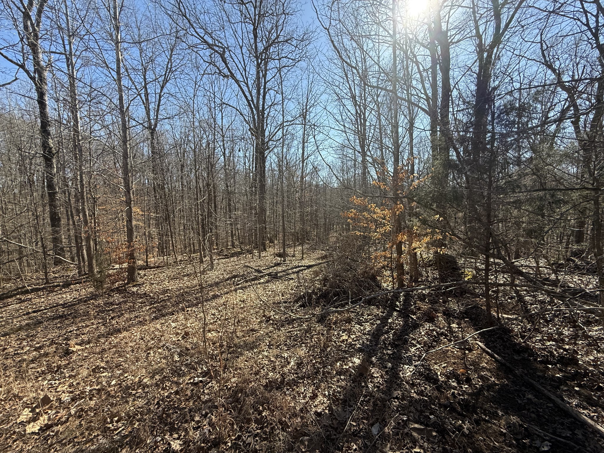 Listing image 8