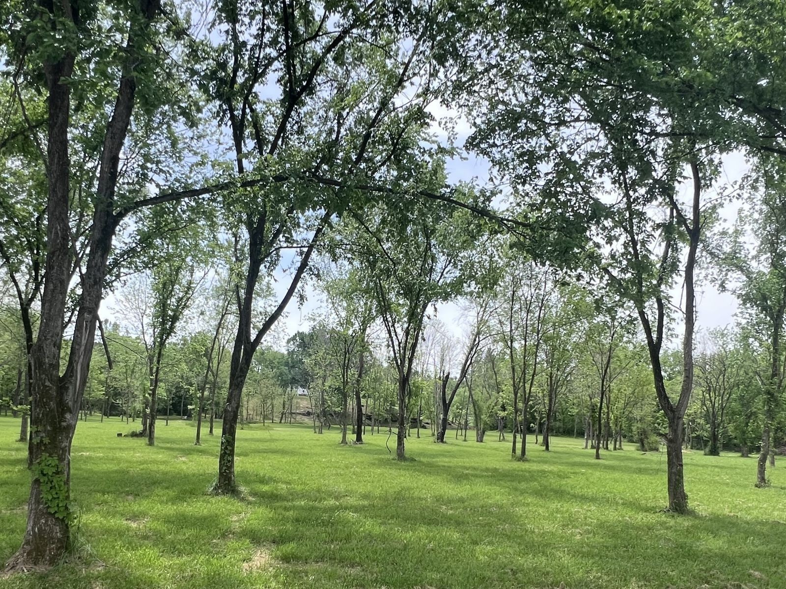 5006 Rock Springs Rd