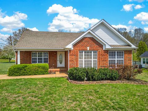 Photo of 307 Sarah Ln, Portland, TN 37148 (MLS # 3165592)