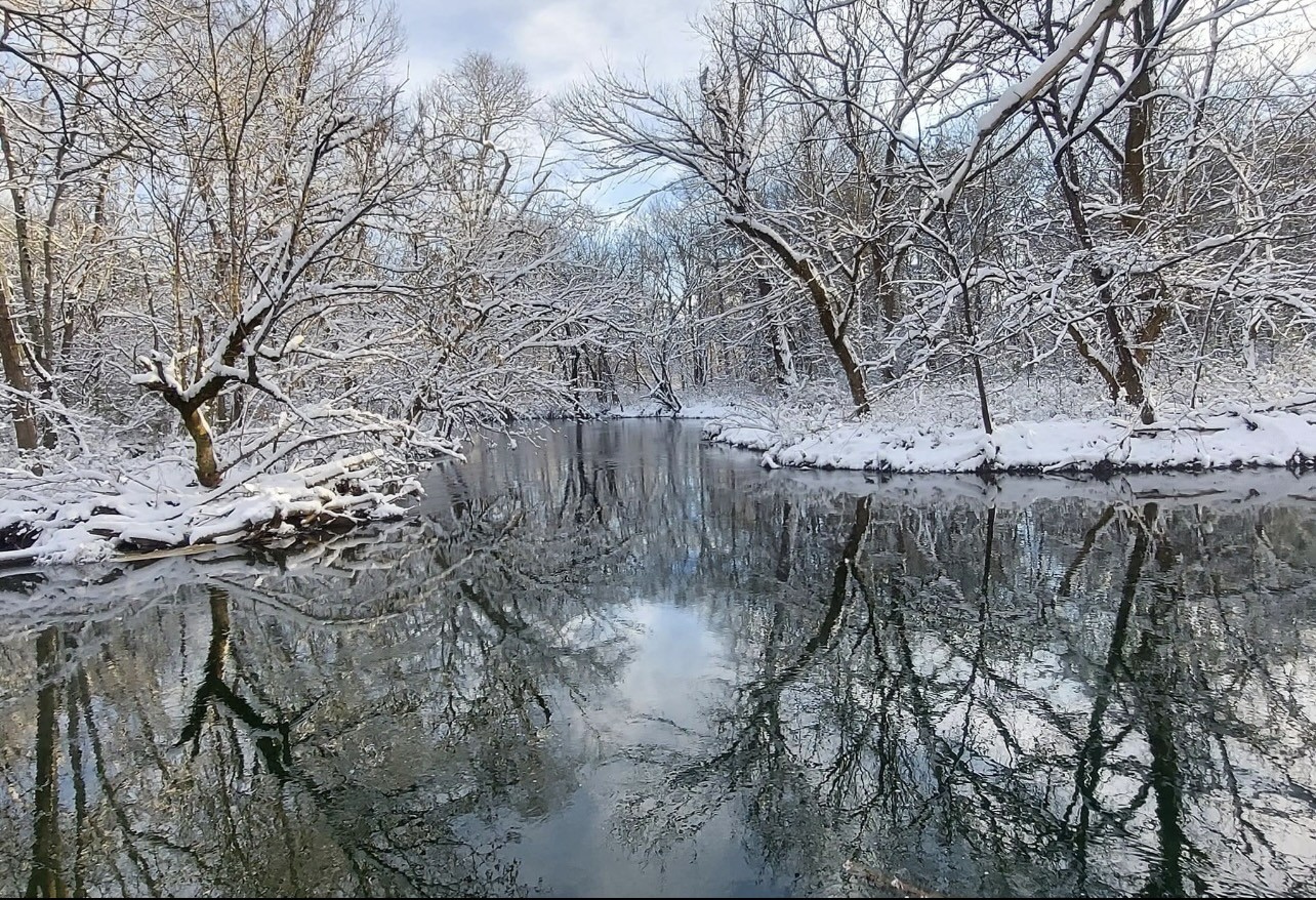 Lebanon, Tennessee 37087, United States, 3 Bedrooms Bedrooms, ,3 BathroomsBathrooms,Residential,Active,45880