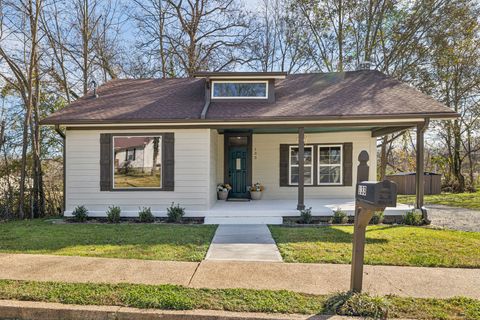 133 Olive St Mount Pleasant TN 38474