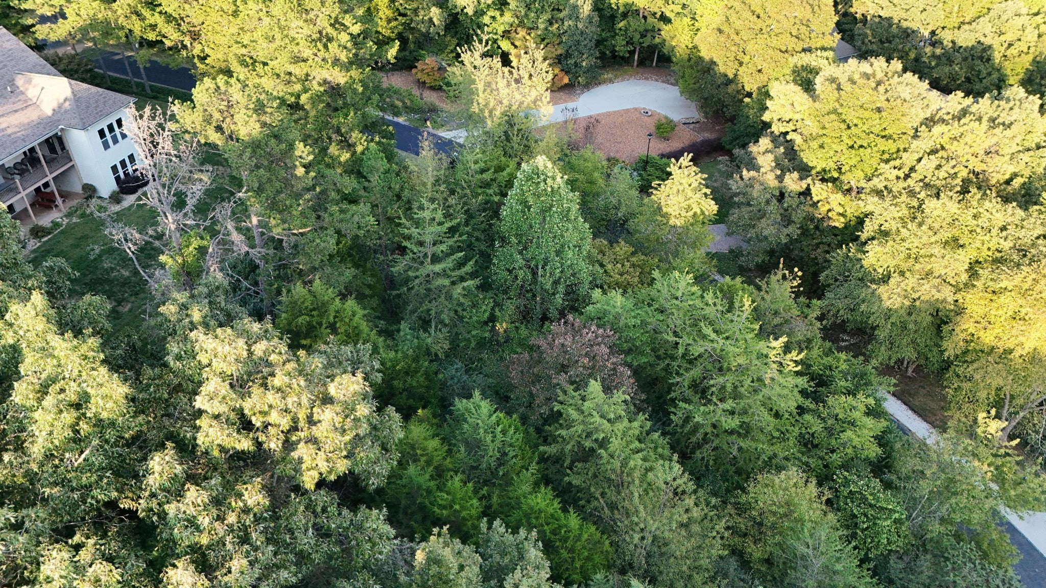 402 Shawnee Place