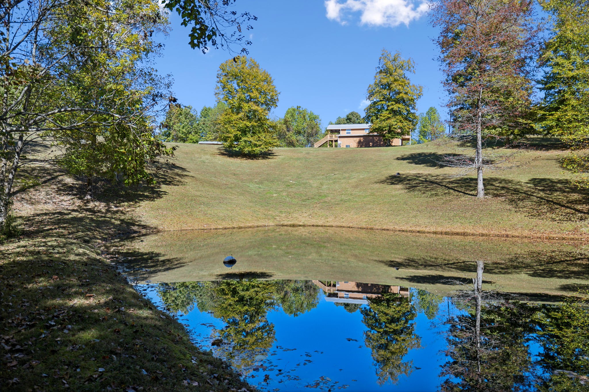 4325 Cave Springs Rd