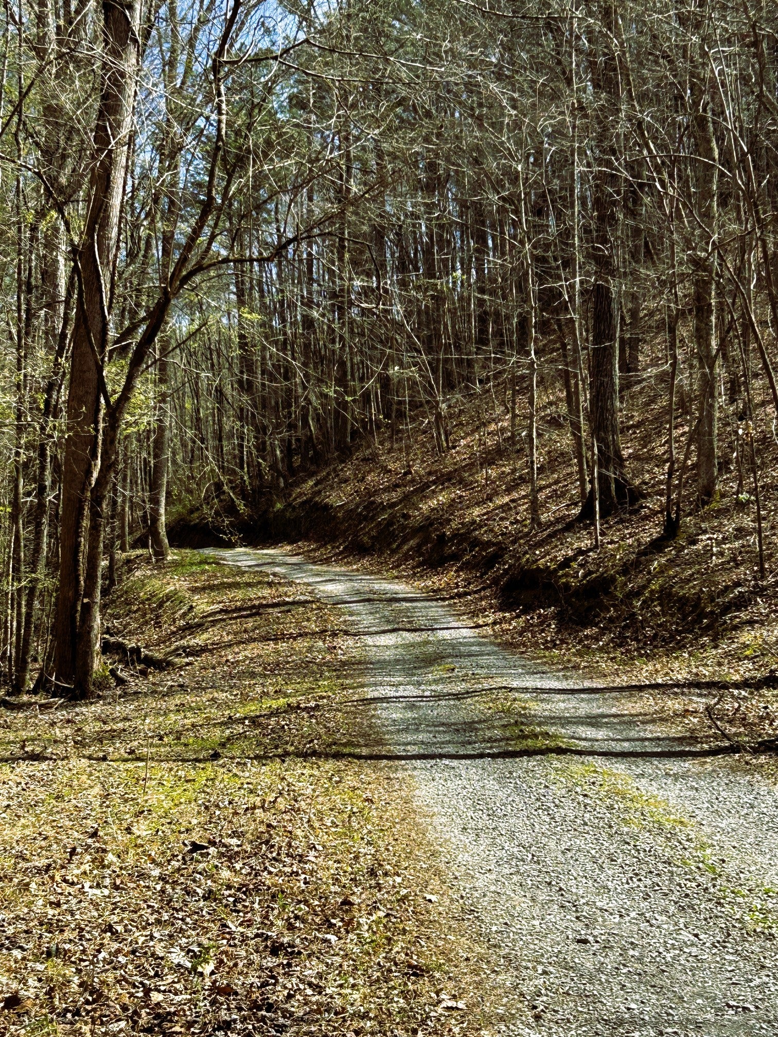 0 Owl Hollow Rd SW