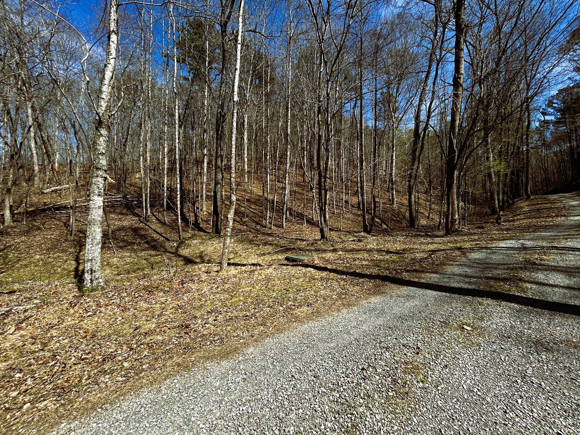 0 Owl Hollow Rd SW