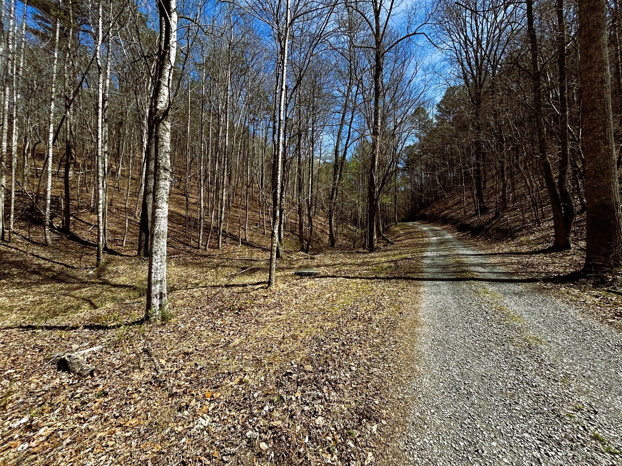 0 Owl Hollow Rd SW