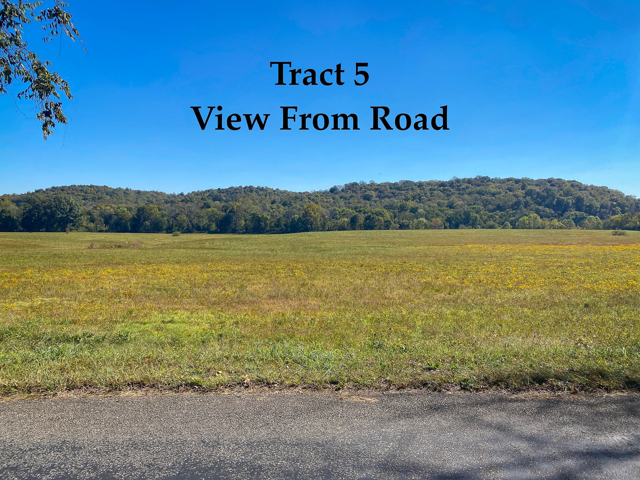 0 Narrows Of The Harpeth Rd