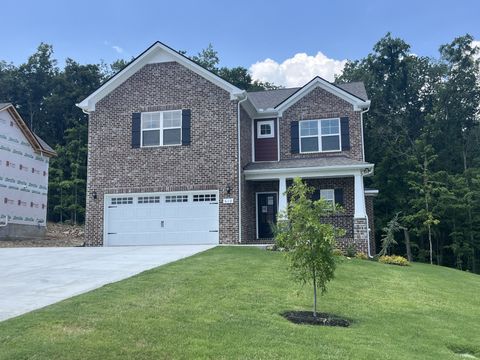 610 Spring Hill Dr Smyrna TN 37167