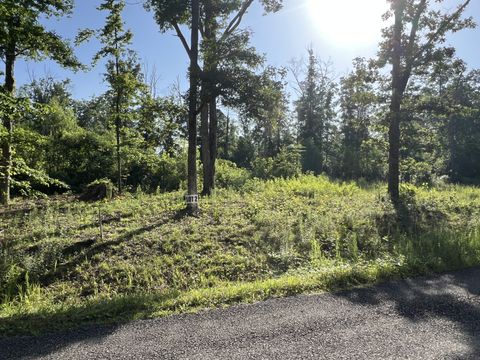 2 Slaughter Rd Primm Springs TN 38476