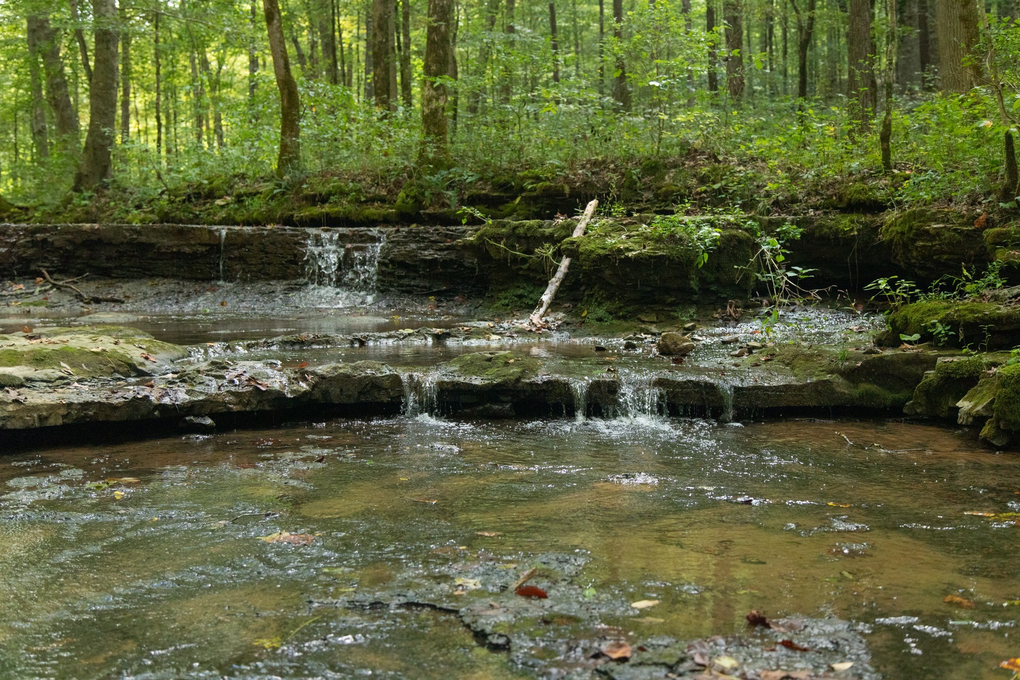 Middle Tennessee Properties 3 5690 Pinewood Rd