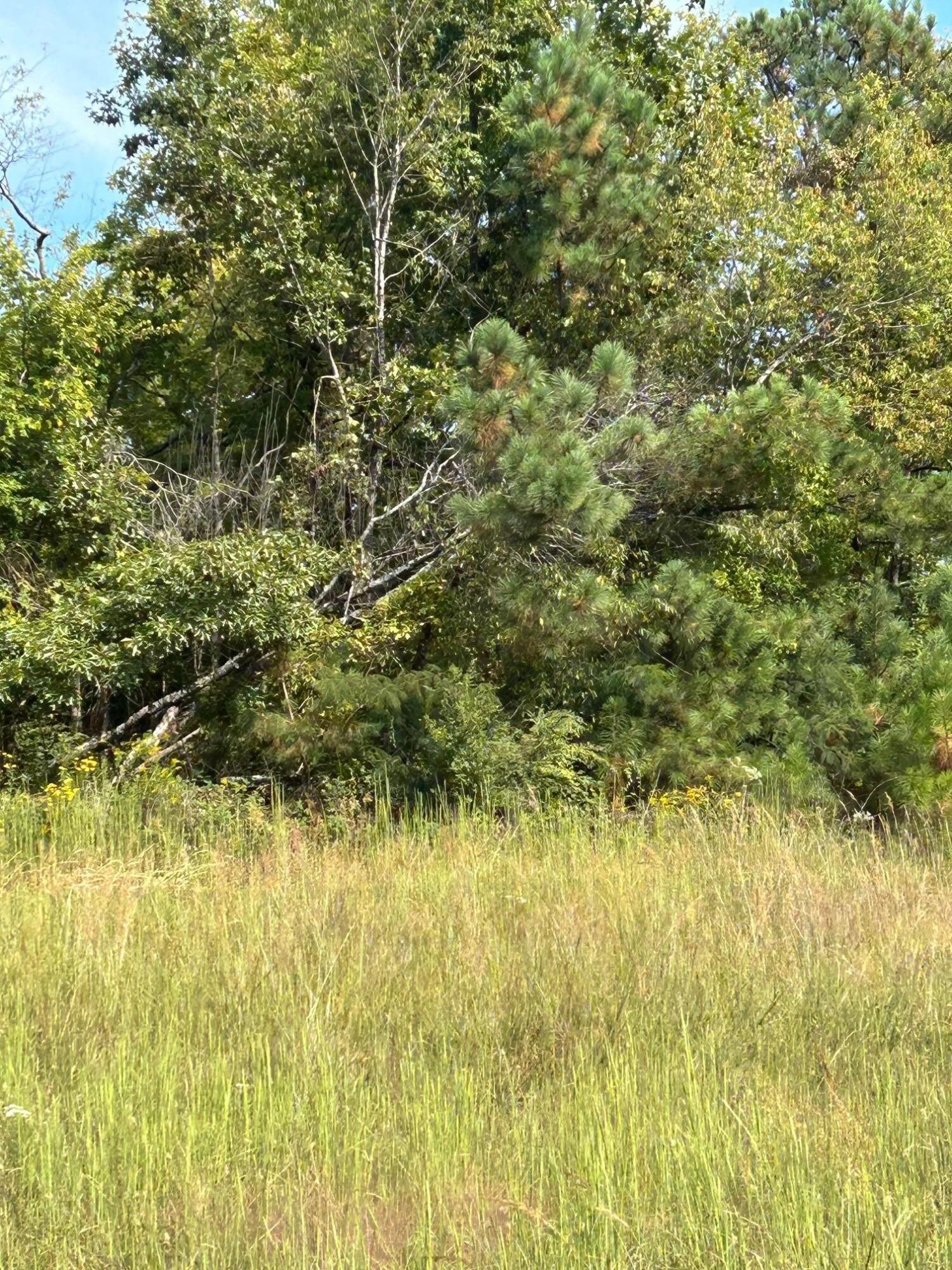 0 Old Powerline Road NE