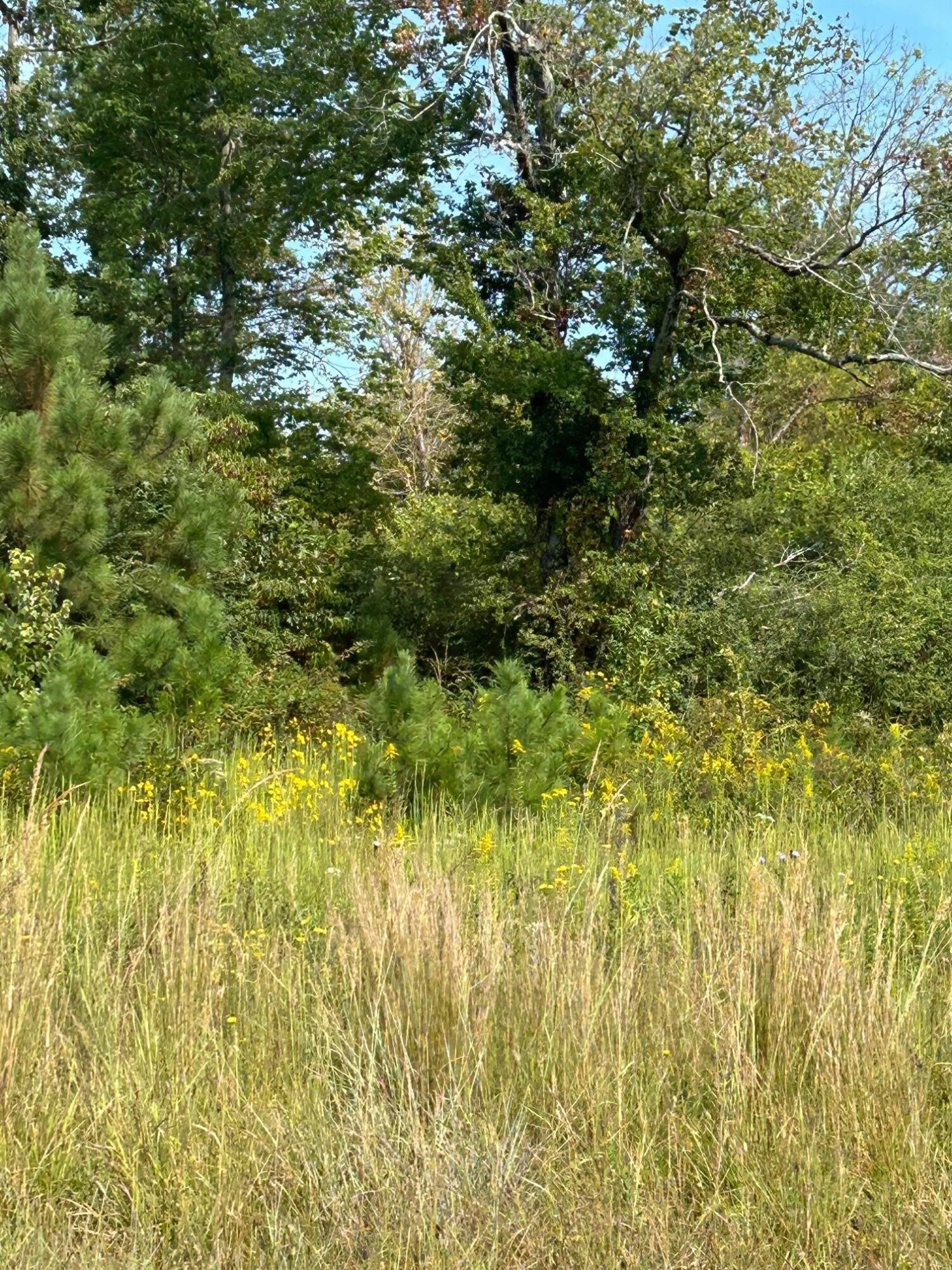 0 Old Powerline Road NE