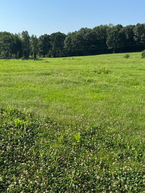19559 Clay County Hwy