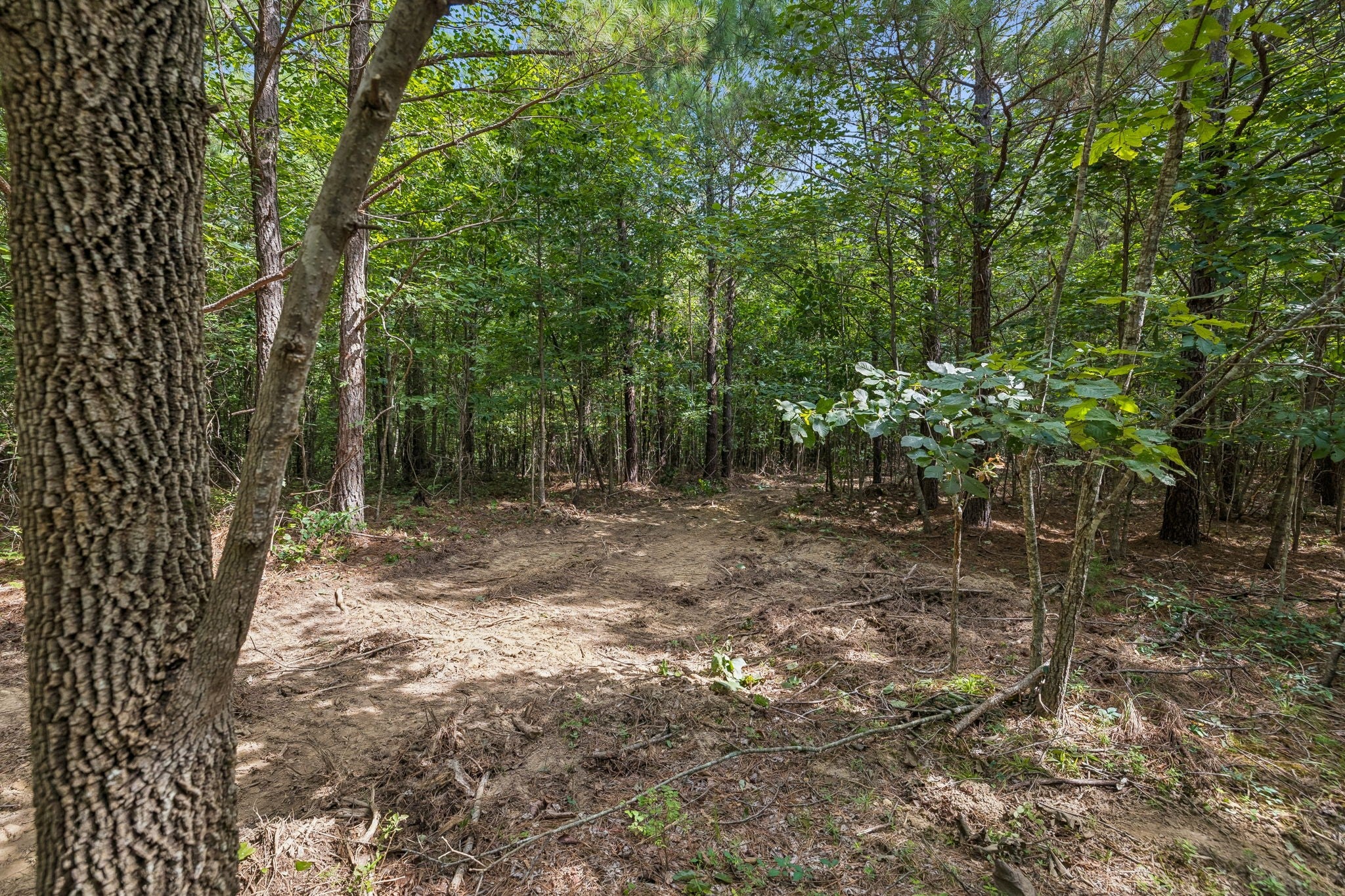 0 Falls Branch Road