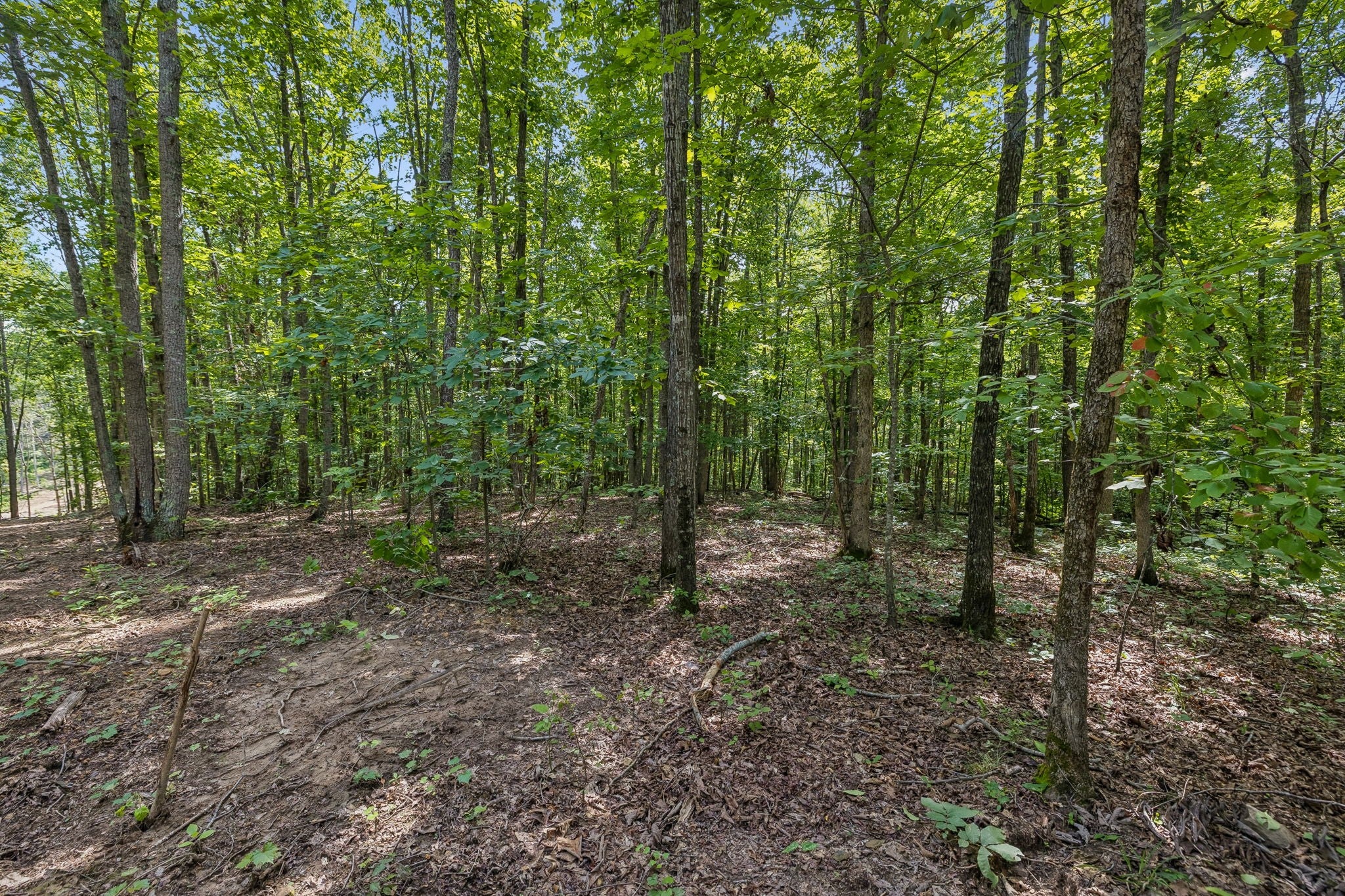 0 Falls Branch Road