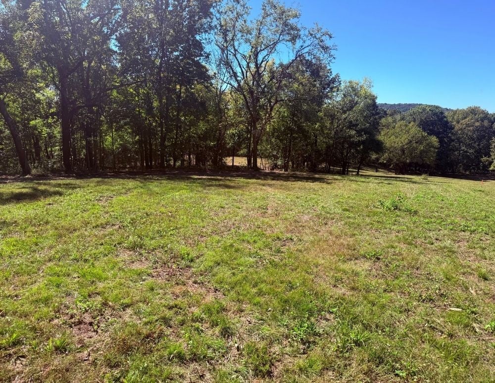 0 Cairo Bend Rd