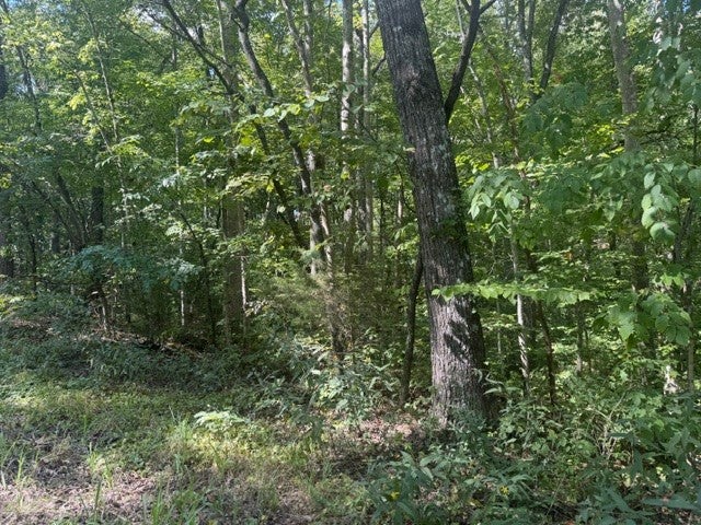 12 Skyline Dr