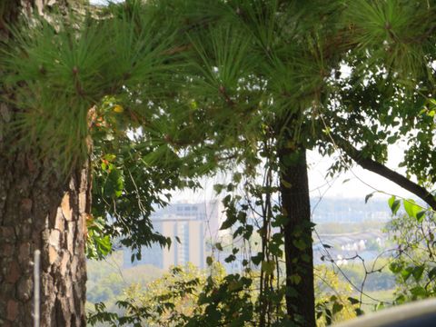 2306 Alpine Ave Nashville TN 37218