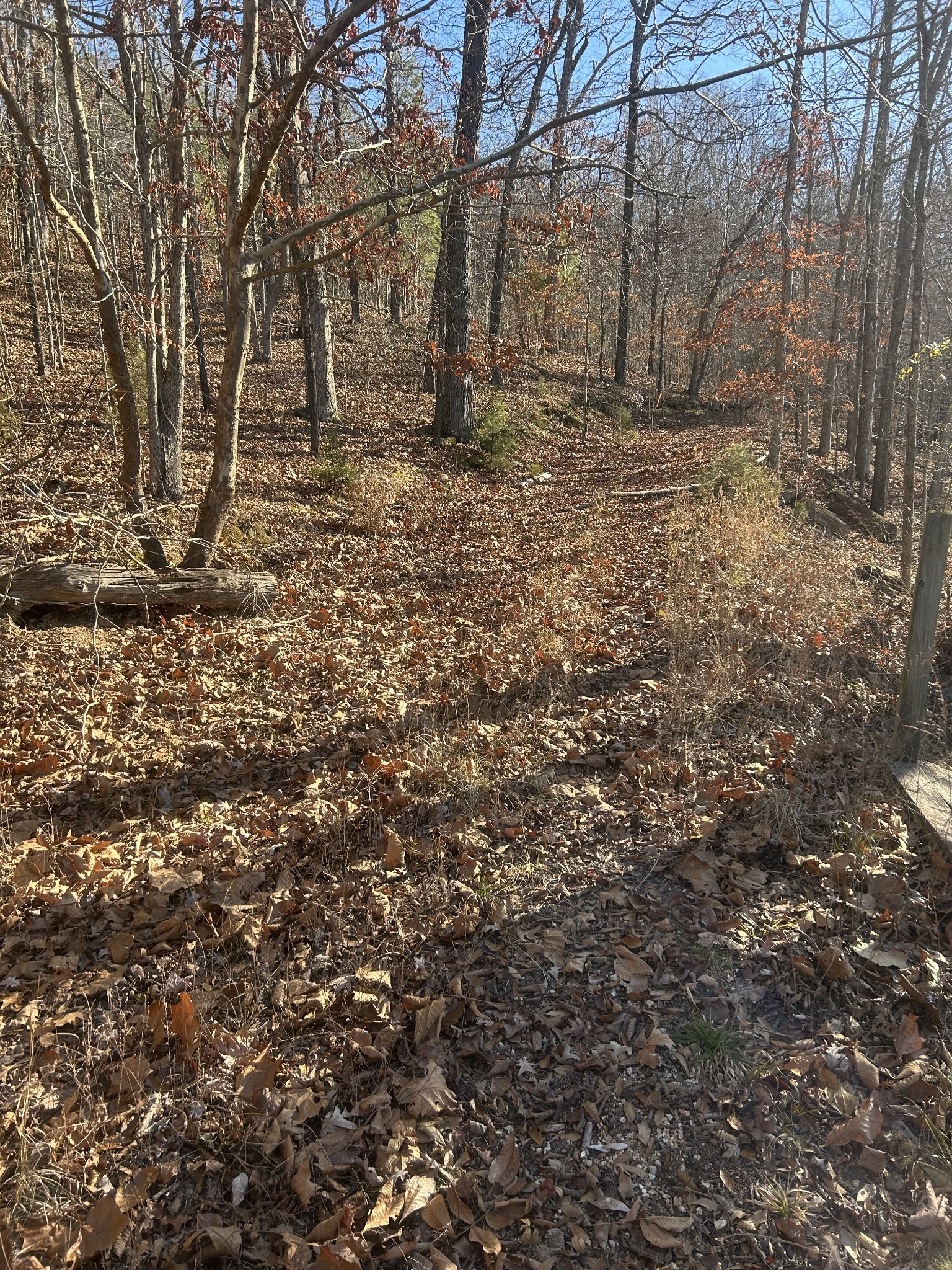 0 Davis N Lake Access Rd