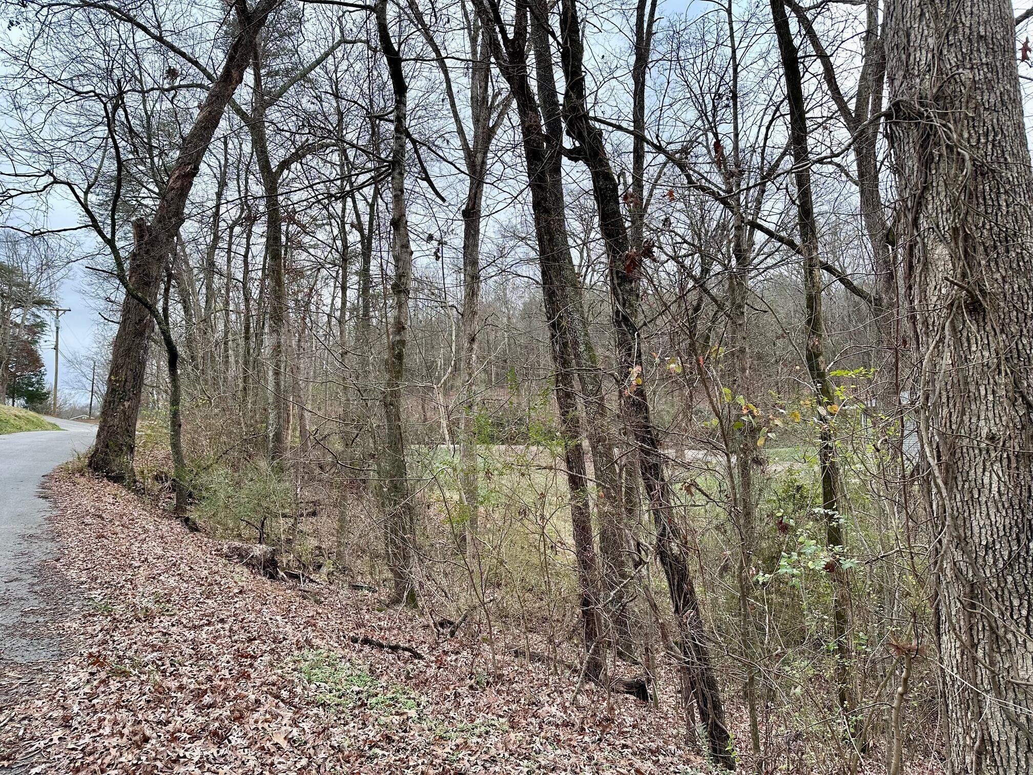 302 Brumlow Hollow Road