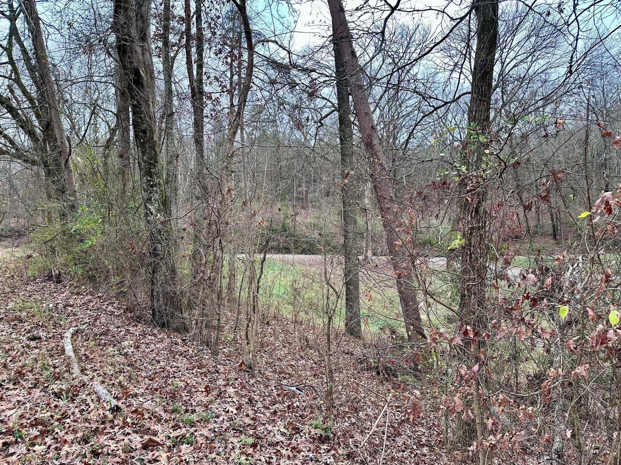 302 Brumlow Hollow Road