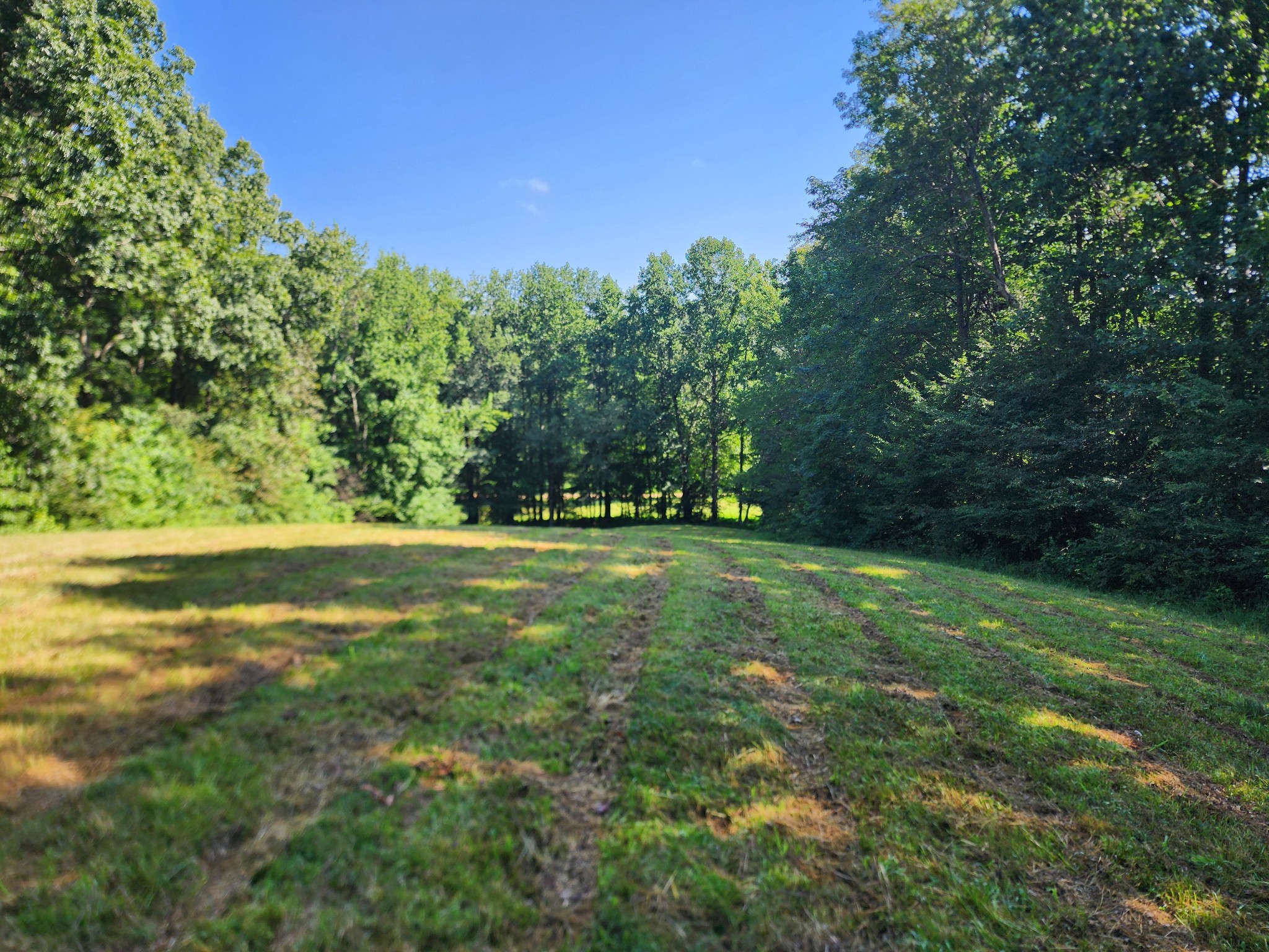 8220 Suckstem Branch Rd